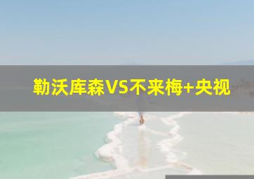 勒沃库森VS不来梅 央视
